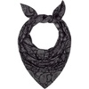 Black Paisley