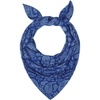 Navy Paisley