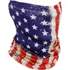 Old Glory American Flag
