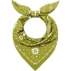 Olive Sun Flower